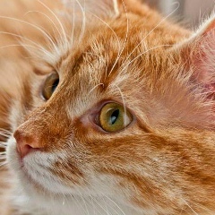 Вера Юдина, 26.02, Киев