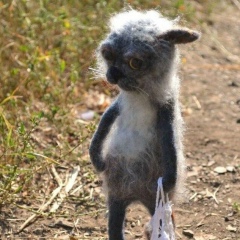 Татьяна Смирнова, 27.12