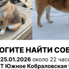 Александр Анисимов, 23.08.1992, Коммунар (деревня)