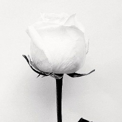 Артур Блац, Алматы