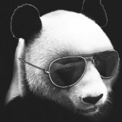 Шамиль Алибеков, 02.12, Буденновск