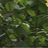 Екатерина Перминова, Санкт-Петербург