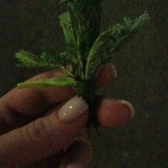 Ольга Ольга, 25.11