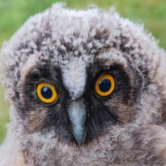 Антон Мез, 22.10, Рязань