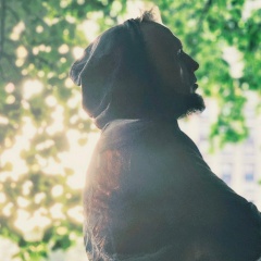 Roman Braga, Москва