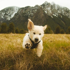 Анастасия Позднякова, Ростов-на-Дону