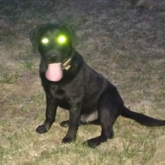 Дмитрий Картинин, 27.02, Санкт-Петербург