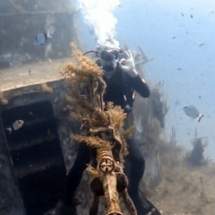 Ко Стег, 29.02, Москва