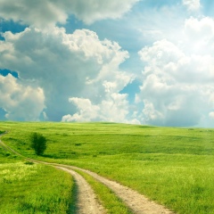 Евгений Логинов, 26.11, Санкт-Петербург