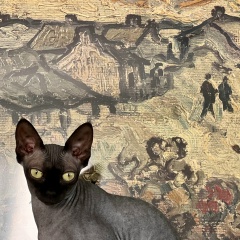 Амир Максудов, 05.04, Dresden