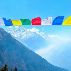 Саян Хирбээ, 16.01, Красноярск