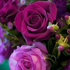 Улдана Акбердиева, 20.01.1979, Шымкент