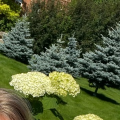 Strawberry Li, Уфа