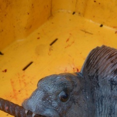 Валерий Субочев, 09.07.1986, Санкт-Петербург