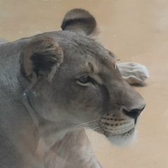 Дарига Ибрагимова, 07.08.1986, Казань