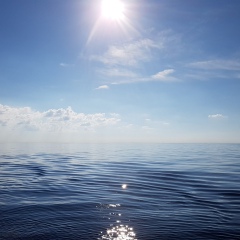 Aleksandr Zayac, 14.12.1987, Одесса