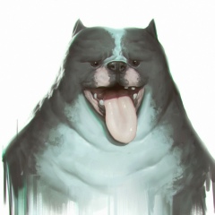 Сергей Приходько, 04.01, Новосибирск