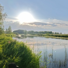 Вася Никитенко, 17.03.1988, Павлодар