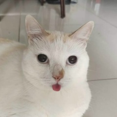 Ольга Ратегова, 22.02, Екатеринбург