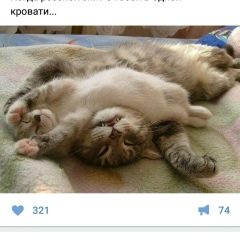 Алина Бетризова, 31.10.1983, Грозный