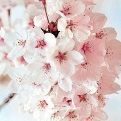 Екатерина Дёмина, 10.08, Днепр (Днепропетровск)