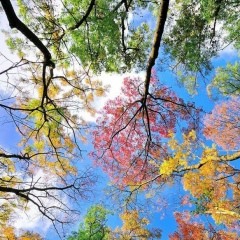 Жулдыз Беркинбаева, 10.02.1986, Шымкент