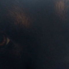 Анжелика Селезнева