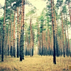 Юля Неровная, 09.09.1991, Кременчуг