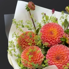 Lora Chan, Южно-Сахалинск