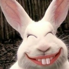 Артём Николаев, 24.06.1988, Днепр (Днепропетровск)