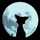 Оксана Морозова, 30.06.1993, Шымкент