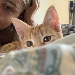 Hasmik Tovmasyan, 16.11.1990, Ереван