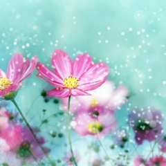 Aychurek Sultanova, 11.09, Ош