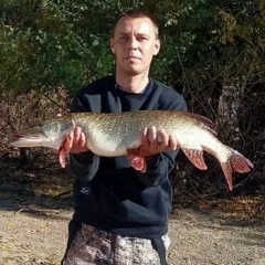 Андрей Лазеев, Новотроицк
