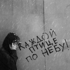 Антон Широбоков, 11.03.1984, Пермь