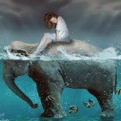 Екатерина Соколкова, 25.09, Алматы