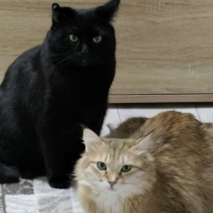 Евгения Вавилонская, 28.06.1975, Ташкент