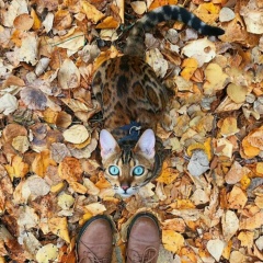 Алтынай Исмайлова, 26.09.1997