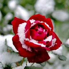 Абдилсейт Тажигулов, 19.07