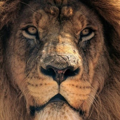 Abdulla Abdumajitov, 08.01, Алматы