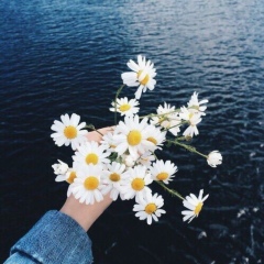 Алия Кыбыраева, 08.10, Алматы