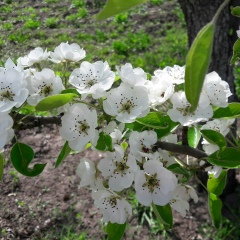 Елена Терзи, 08.10, Днепр (Днепропетровск)