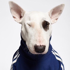 Вадим Меркурьев, 21.06, Алматы