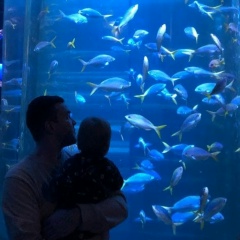 Вадим Черемных, 07.01.1984, Коломна