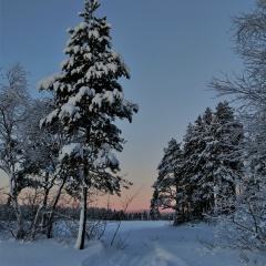 Руслан Волков, 23.08.1992, Москва