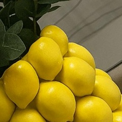 Маргарита Дылкина, Новосибирск