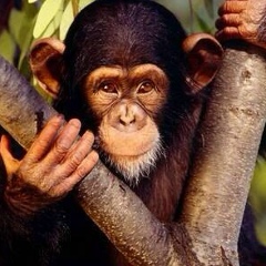 Андрей Абакумов, 27.04.1987, Москва