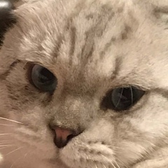 Наталья Плохая, 05.04, Санкт-Петербург