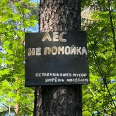 Александр Шевчук, Алматы