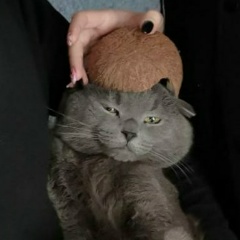 Елизавета Калинина, 23.08.2000, Москва